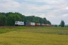 386 031-9